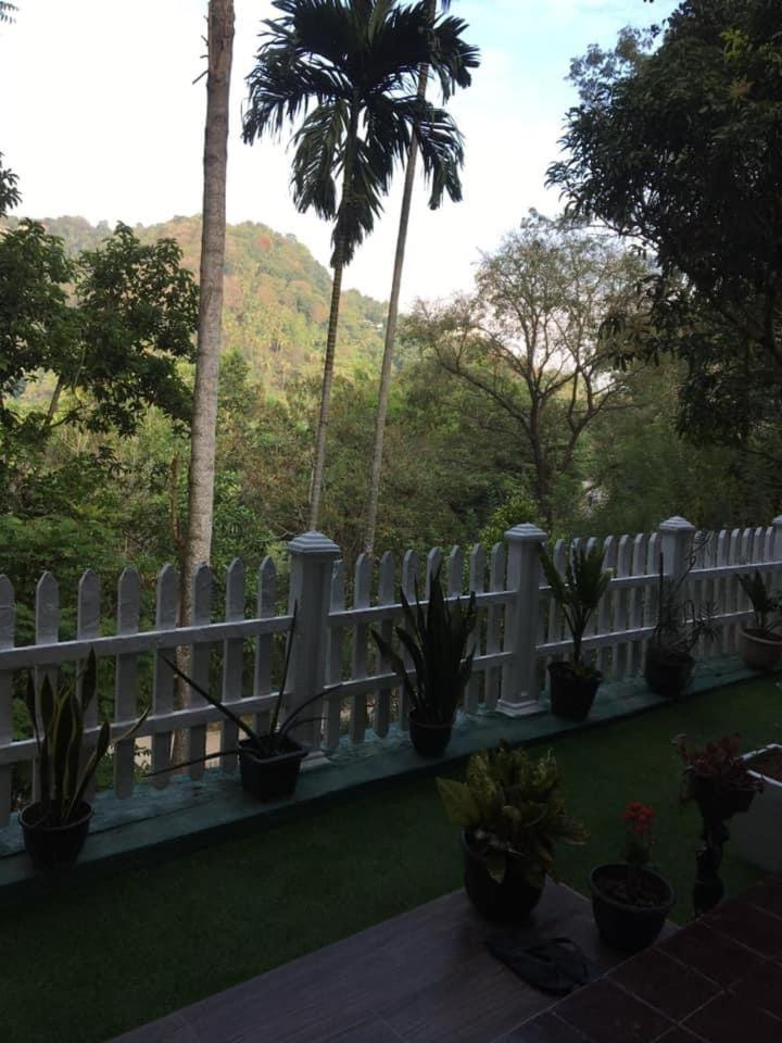 Villa25 Homestay Free Pick Up From The Centre キャンディー エクステリア 写真